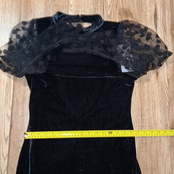 NEW! HP 🥳🥳🥳Zara Velvet Look Long Sleeve Dress with Polka Dot Detail - Picture 8 of 11